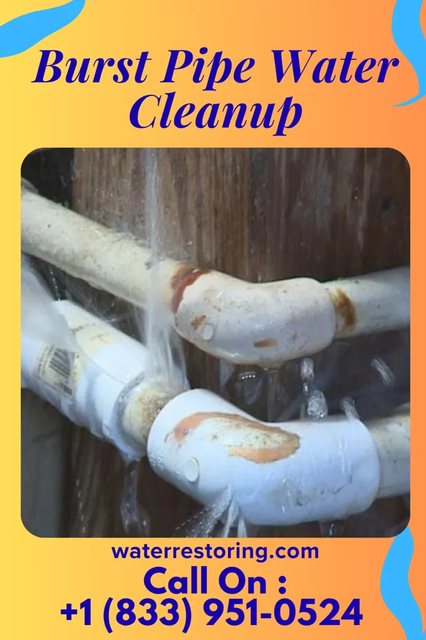 Burst Pipe Water Cleanup in Oakdale, WI