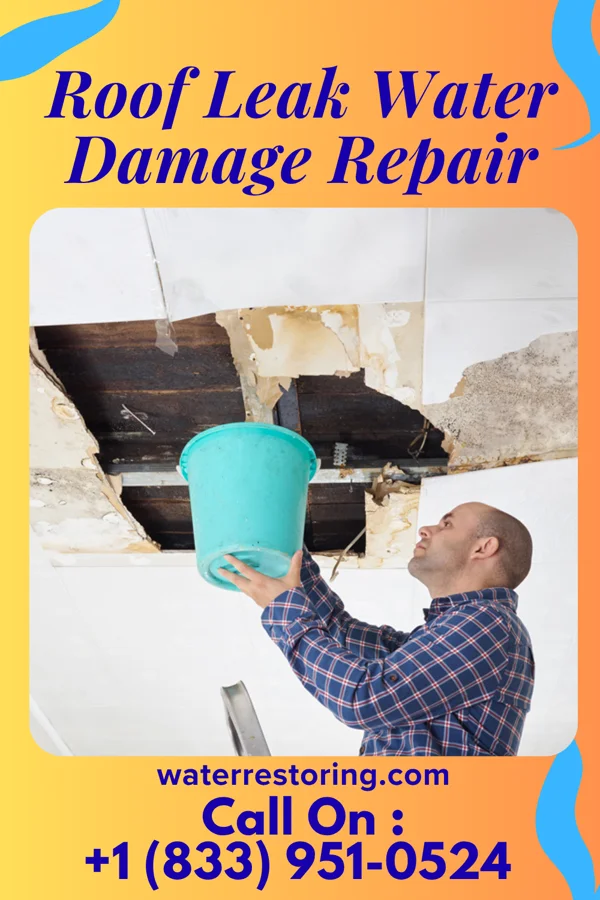 Roof Leak Water Damage Repair in Oakdale, WI