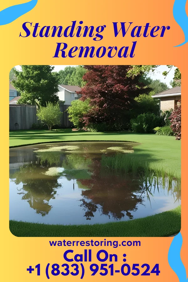 Standing Water Removal in Oakdale, WI
